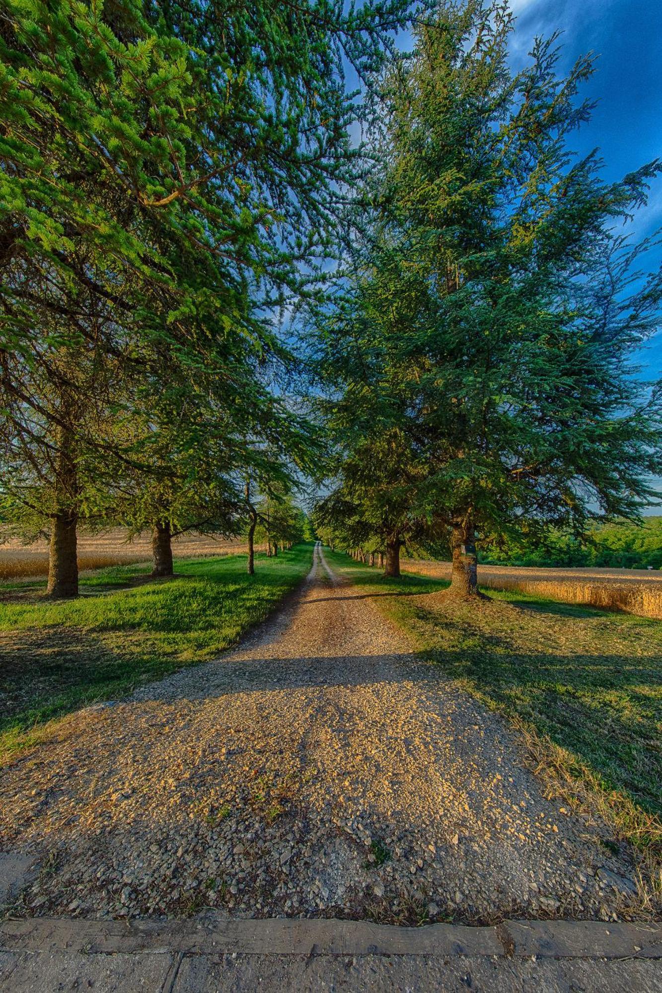 Le Manoir De St Marcel Villa Saint-Marcel-du-Périgord Dış mekan fotoğraf