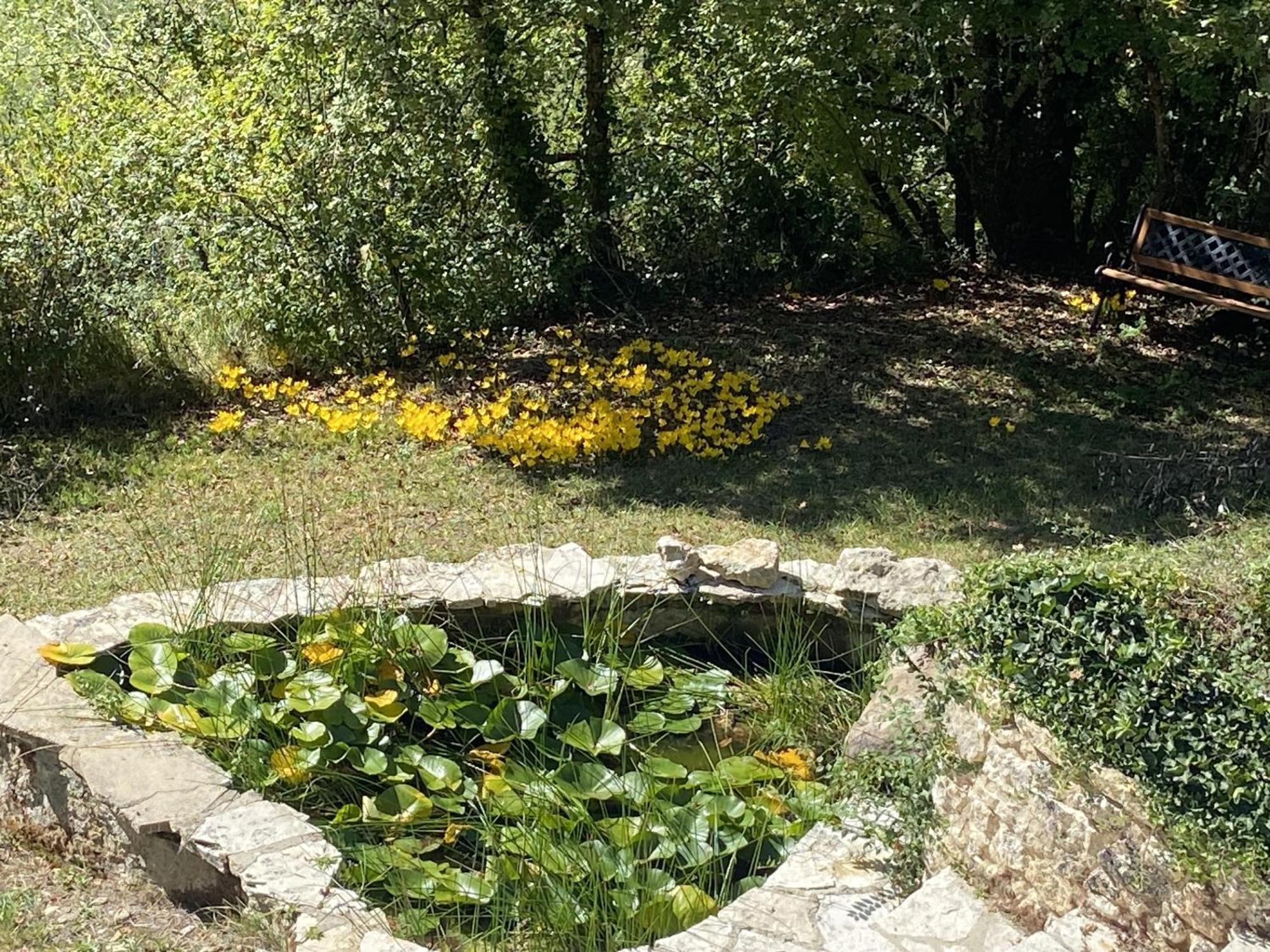 Le Manoir De St Marcel Villa Saint-Marcel-du-Périgord Oda fotoğraf