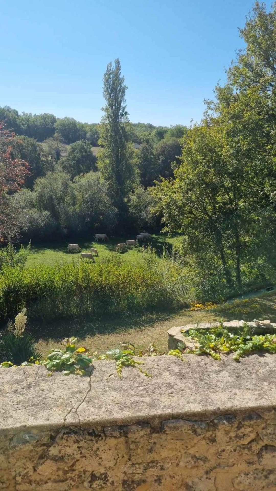 Le Manoir De St Marcel Villa Saint-Marcel-du-Périgord Oda fotoğraf